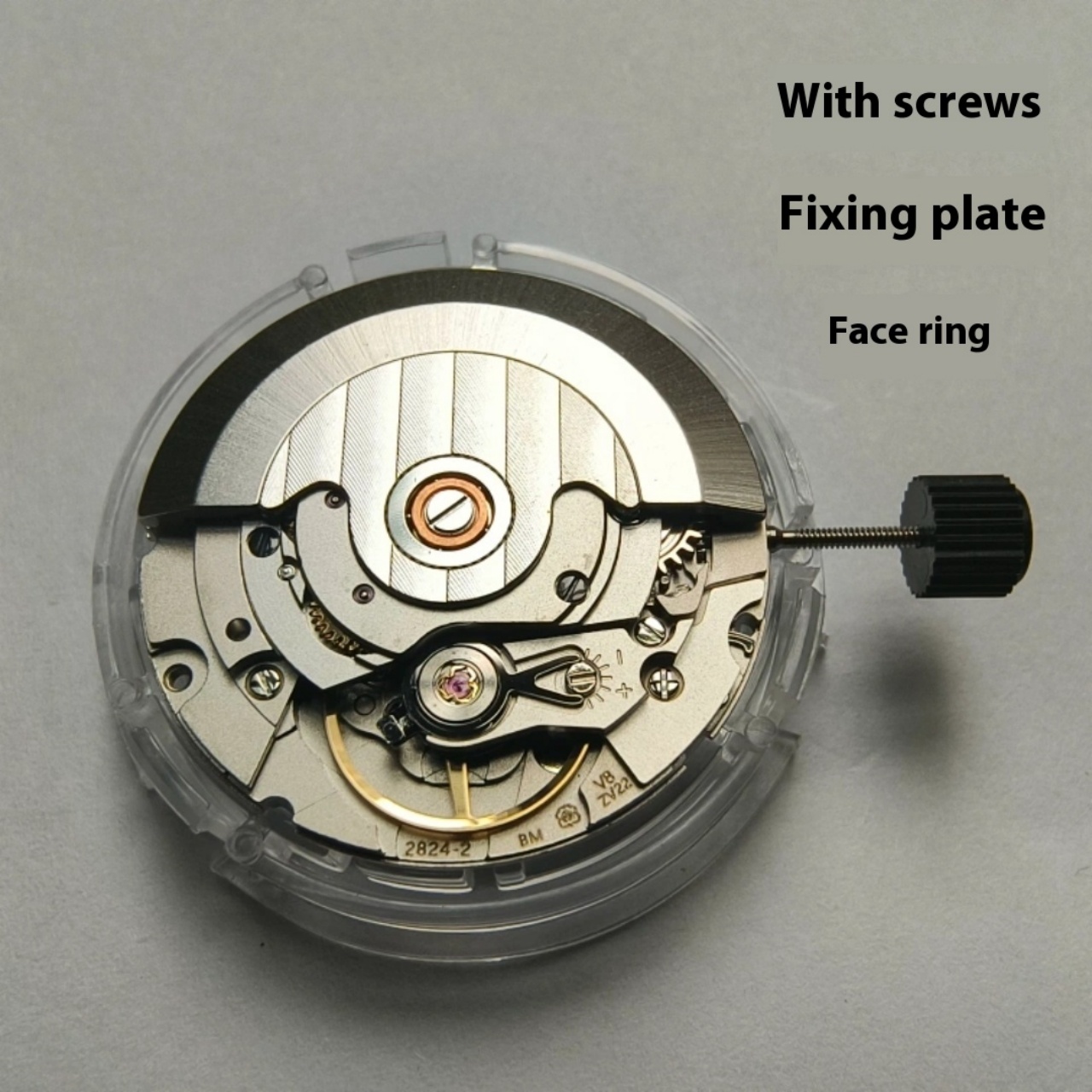 V8 Stainless Steel Eco-Friendl - Watch V8 บทวิจารณ์และราคา