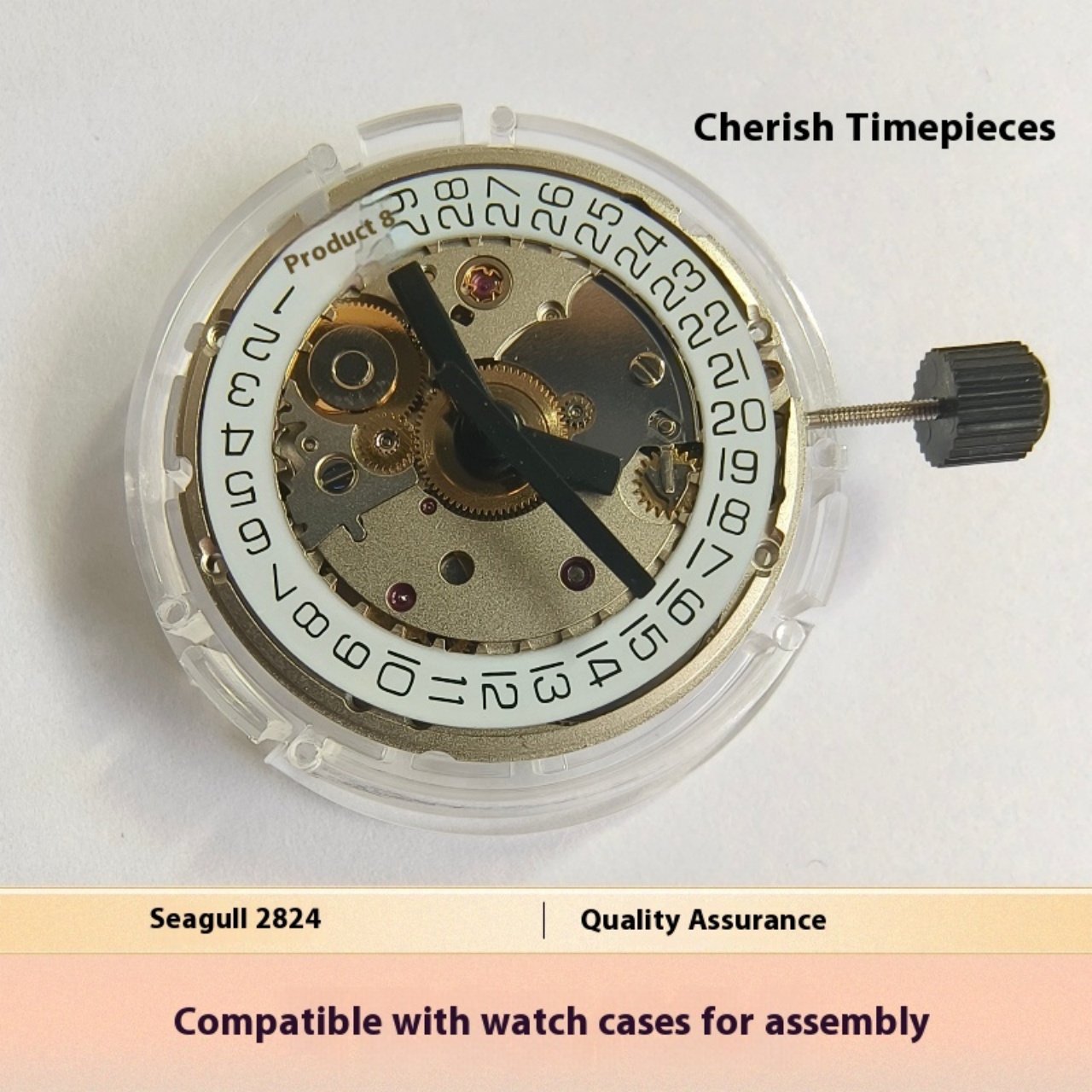 V8 Stainless Steel Eco-Friendl - Watch V8 บทวิจารณ์และราคา